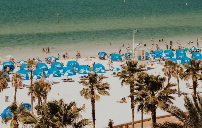 Blue umbrellas at a beach in Tampa.