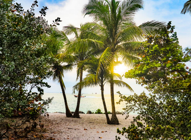 View of the beach.