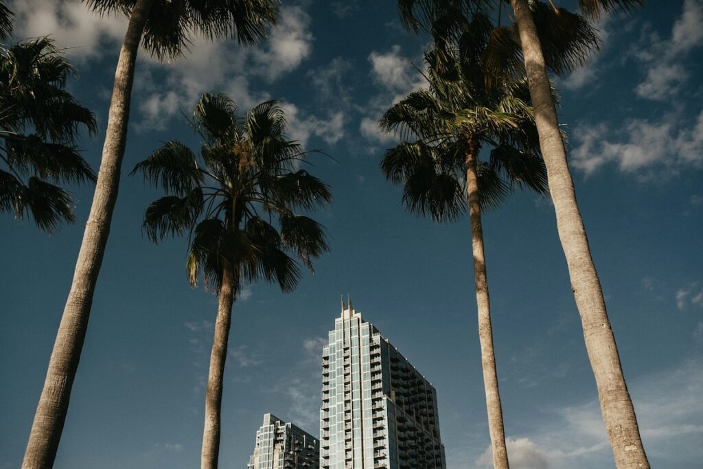 Palm trees framing modern skyscrapers under blue sky.