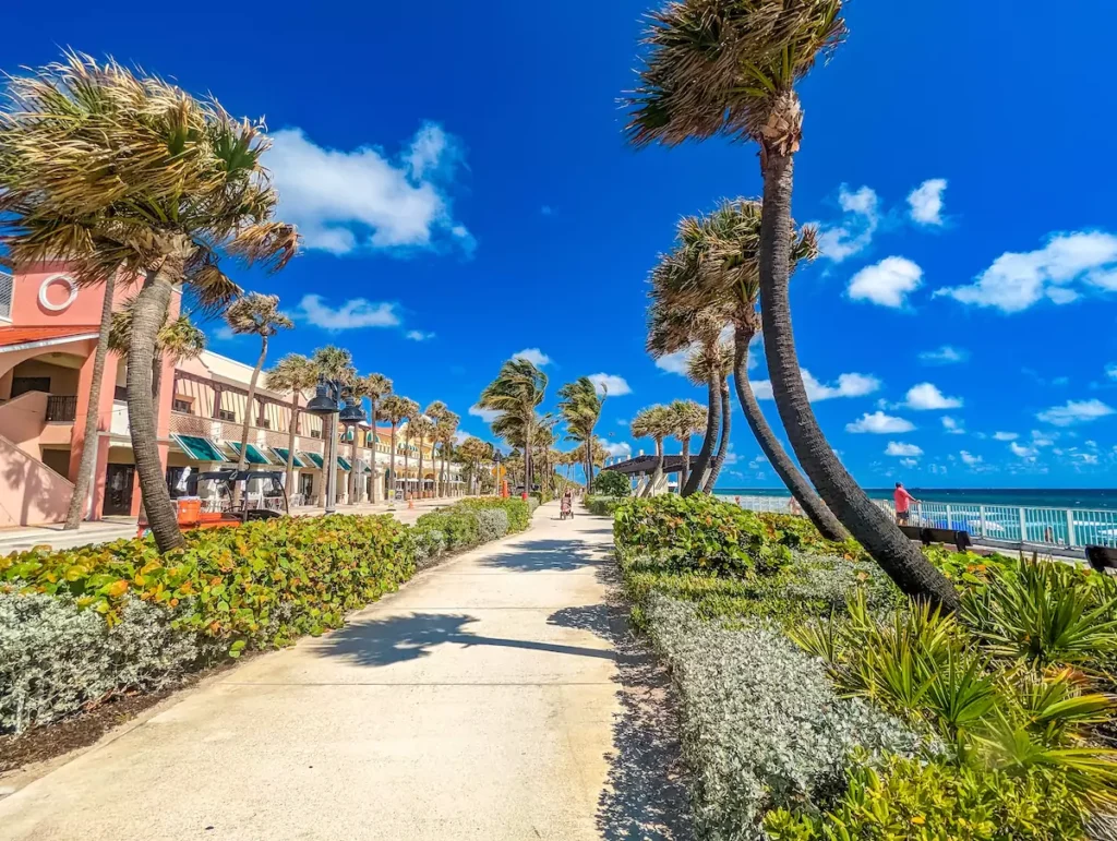 Palm-lined boardwalk by beach and clear sky